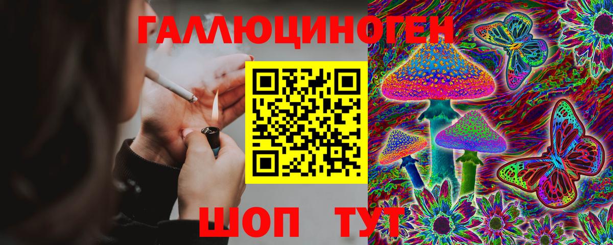 Псилоцибиновые грибы мицелий Сафоново