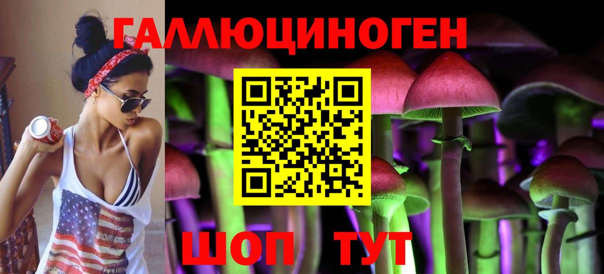 Сафоново  Псилоцибиновые грибы MAGIC MUSHROOMS  Галлюциногенные грибы GOLDEN TEACHER  Вход с VPN 